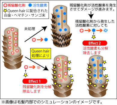 サビから守るイメージ
