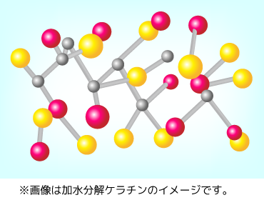 加水分解ケラチンのイメージ